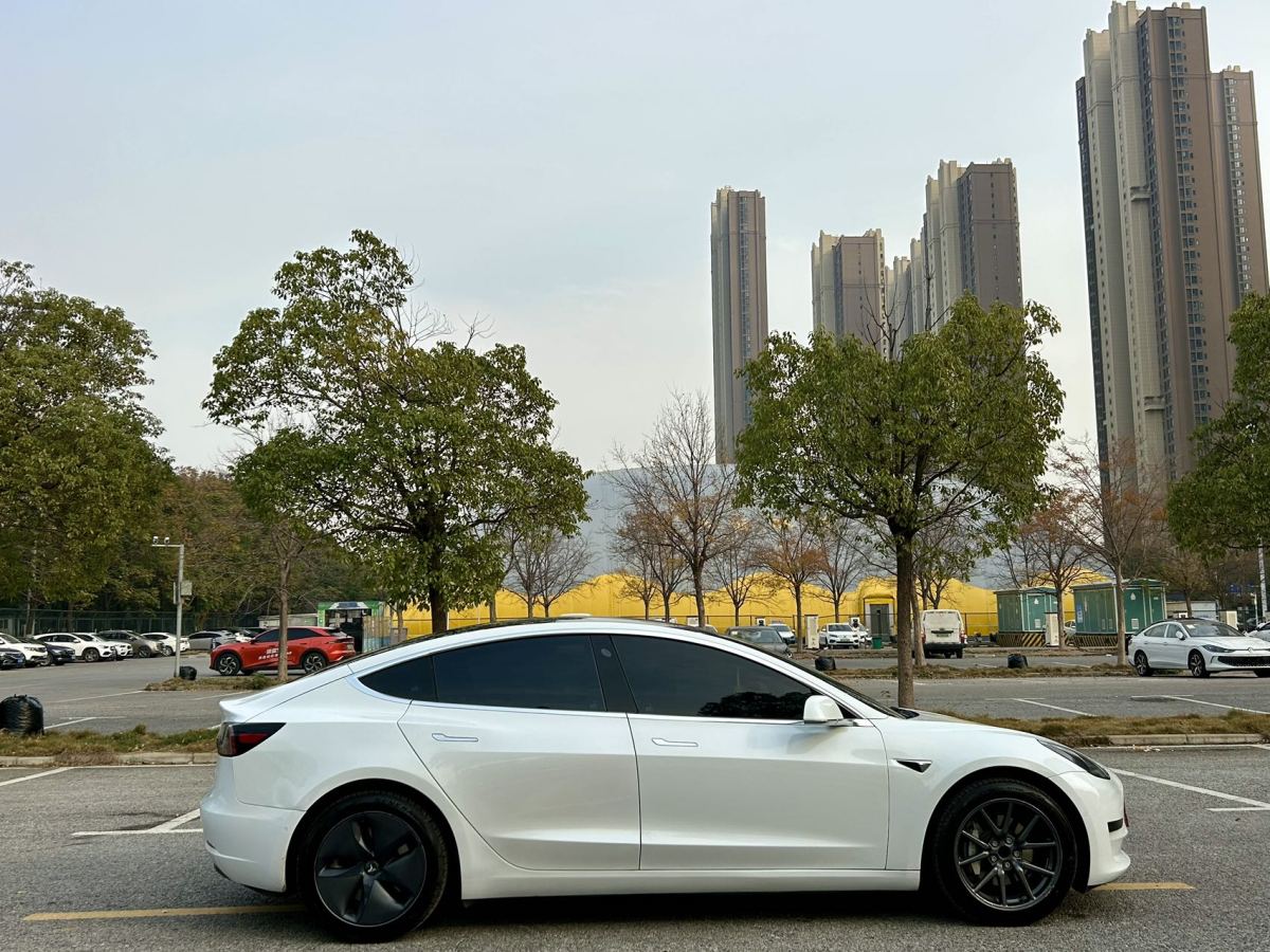 特斯拉 Model 3  2019款 標(biāo)準(zhǔn)續(xù)航后驅(qū)升級(jí)版圖片