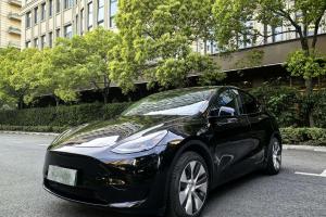 Model Y 特斯拉 改款 后輪驅(qū)動(dòng)版