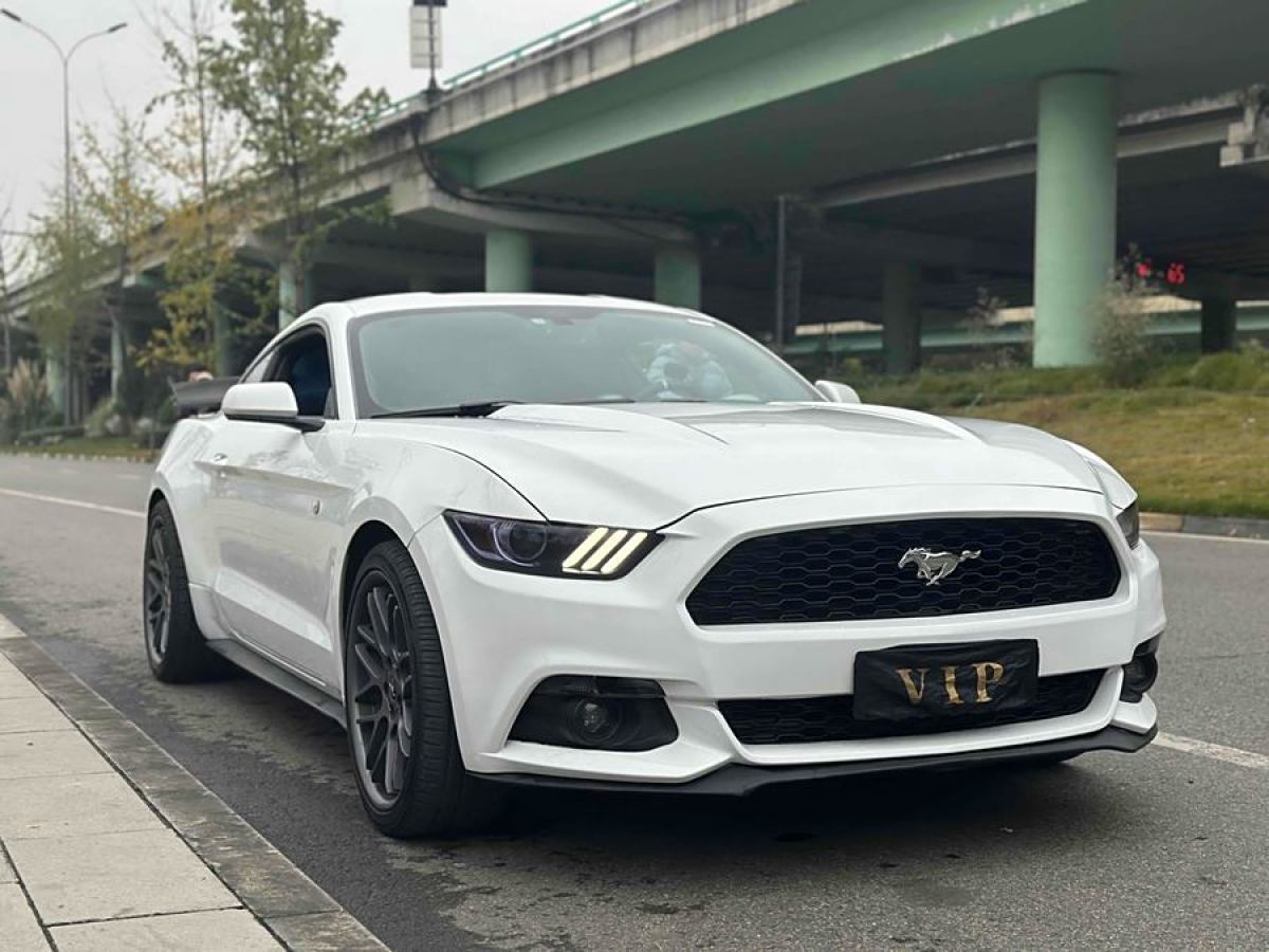 福特 Mustang  2015款 2.3T 50周年紀(jì)念版圖片