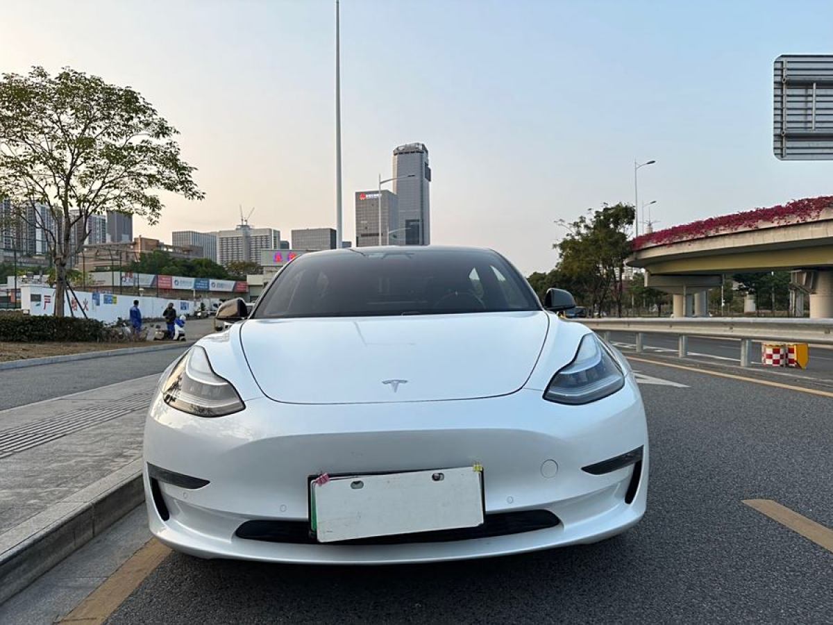 特斯拉 Model 3  2019款 長續(xù)航全輪驅動版圖片