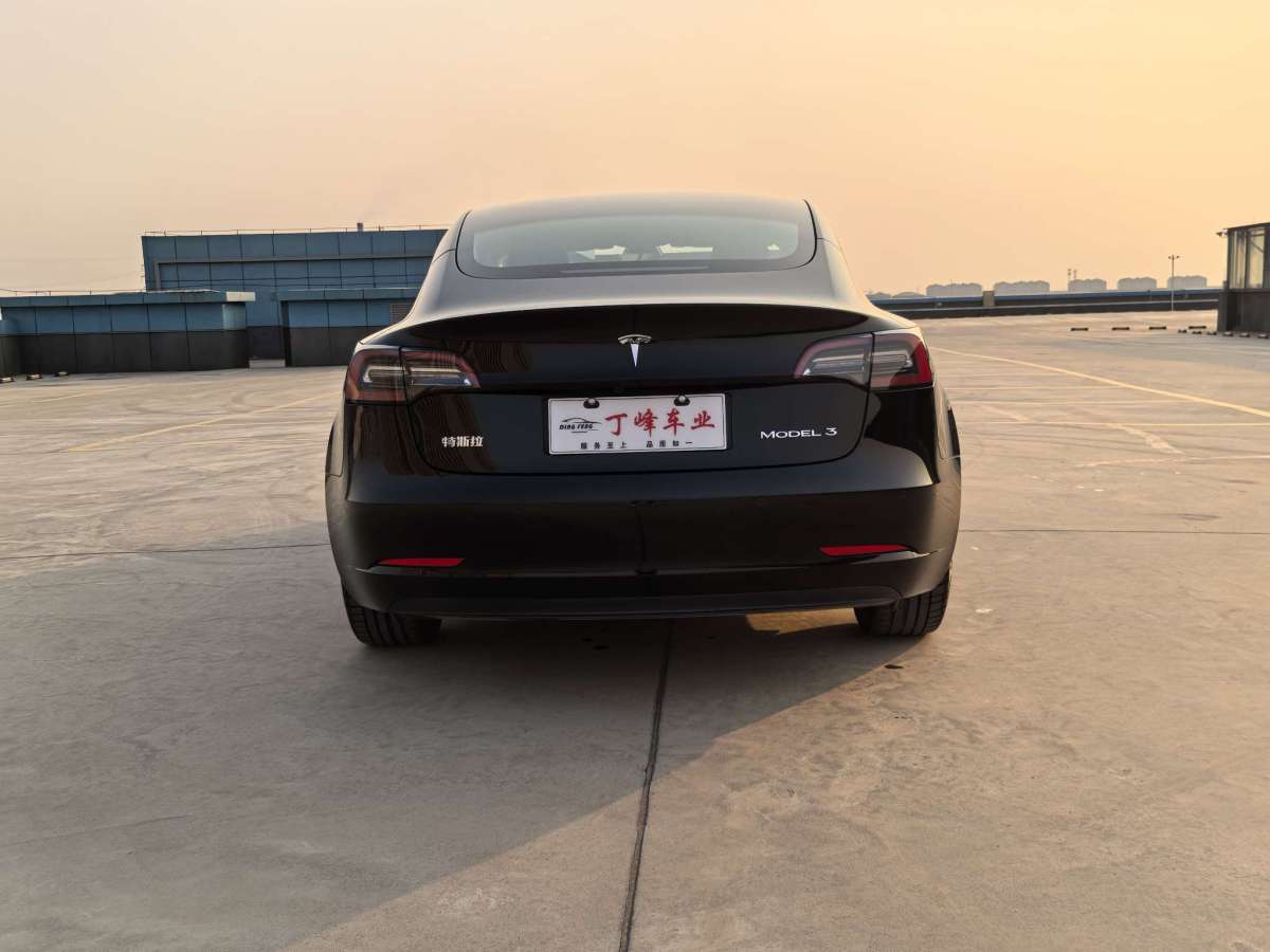 特斯拉 Model 3  2021款 標(biāo)準(zhǔn)續(xù)航后驅(qū)升級(jí)版圖片