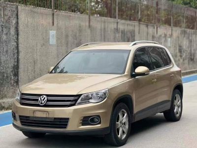 2012年11月 大眾 途歡(進(jìn)口) 2.0 TDI 舒適版圖片