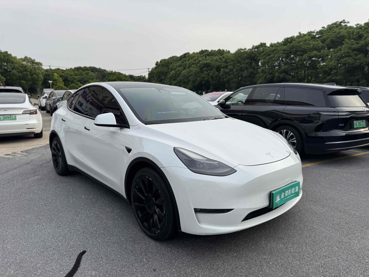 特斯拉 Model Y  2021款 長續(xù)航全輪驅(qū)動(dòng)版 3D7圖片