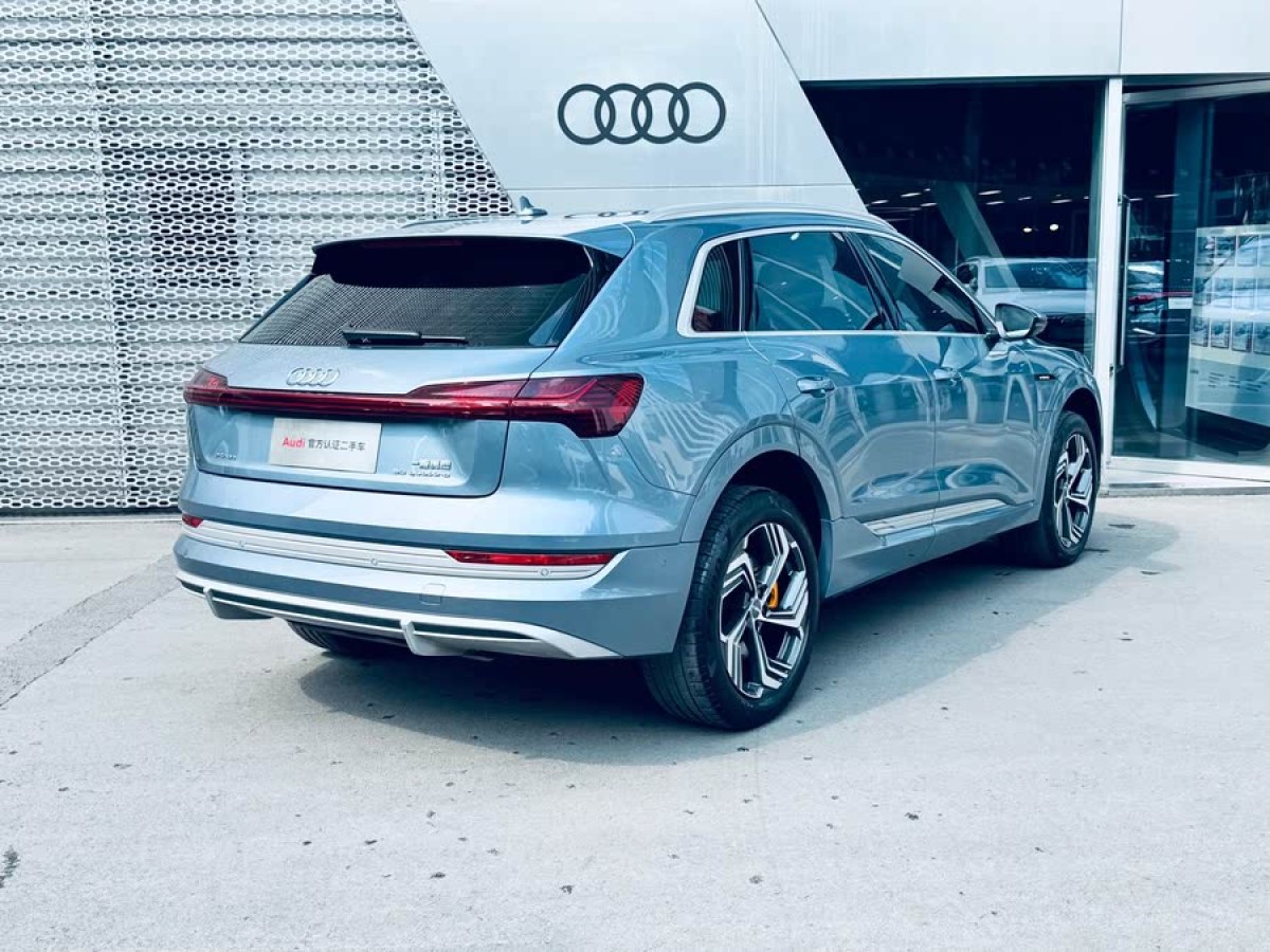 奧迪 奧迪e-tron  2021款 50 quattro 臻選型圖片