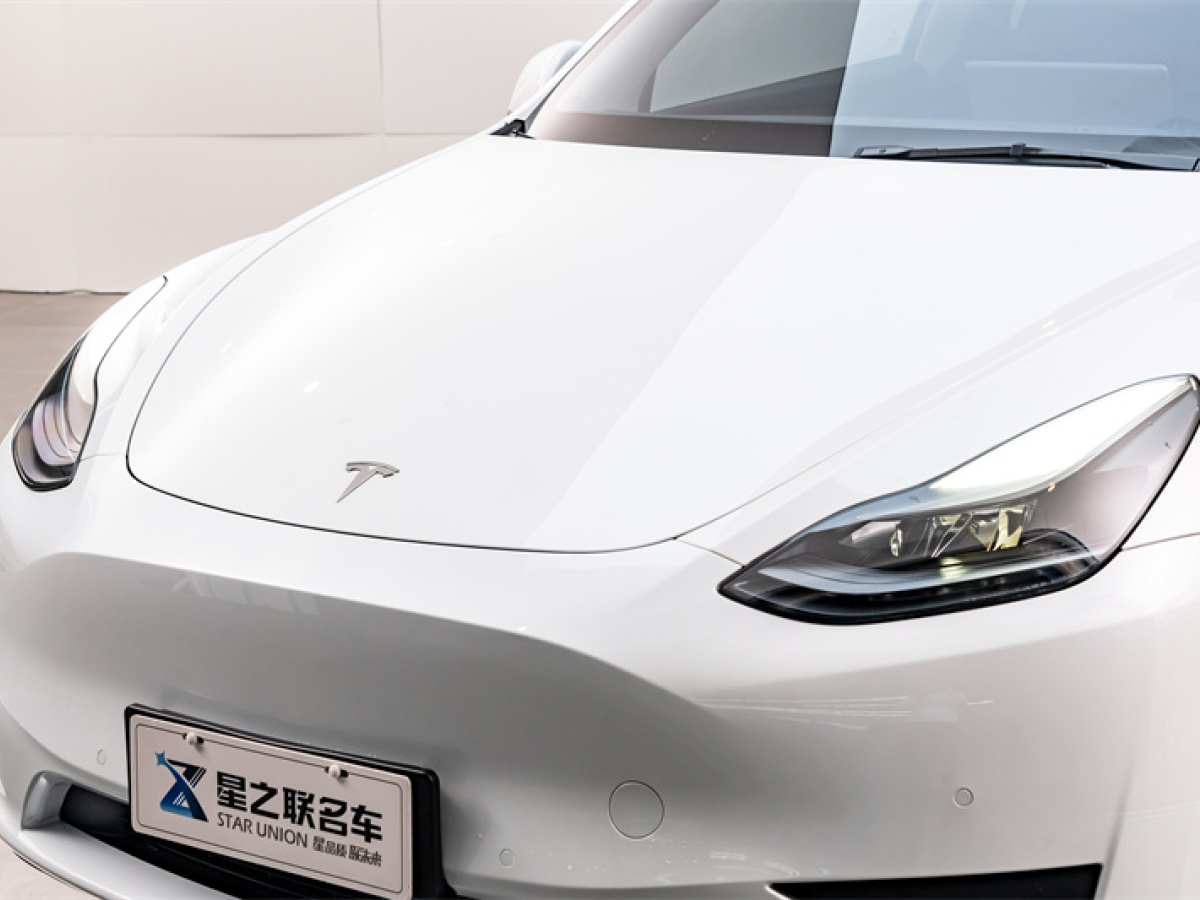 特斯拉 Model Y  2022款 后轮驱动版图片