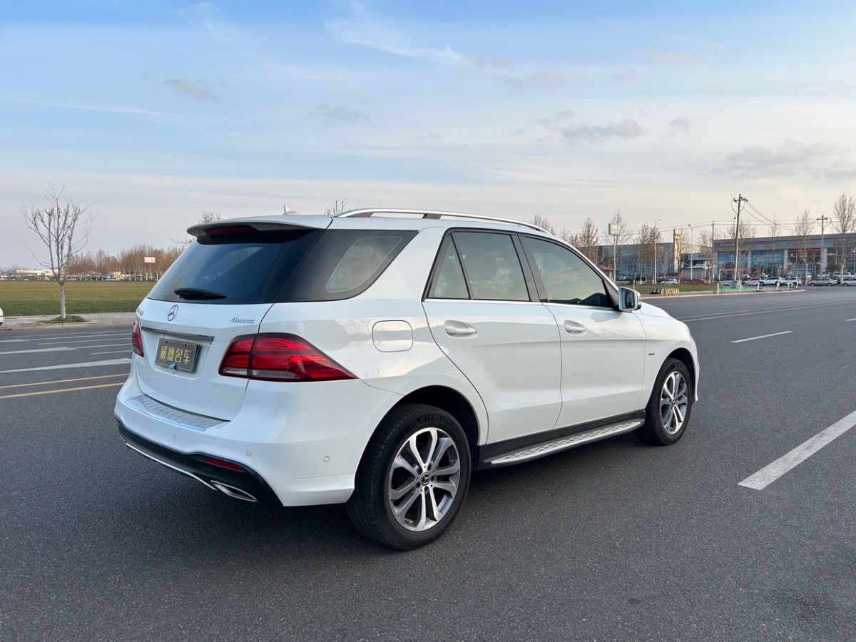 奔馳 奔馳GLE  2018款 GLE 320 4MATIC 動感型臻藏版圖片