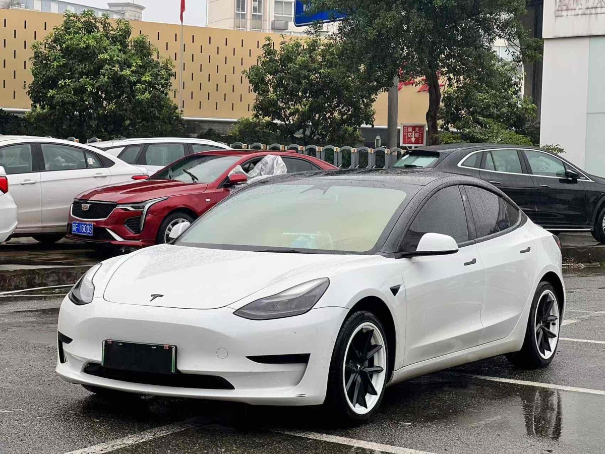 2021年4月特斯拉 Model 3  2019款 標準續(xù)航后驅(qū)升級版