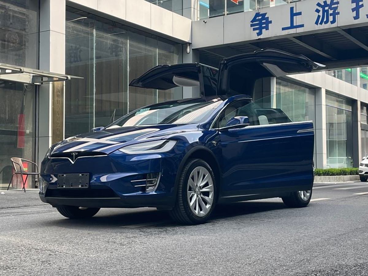 2021年1月特斯拉 Model X  2020款 長續(xù)航升級版