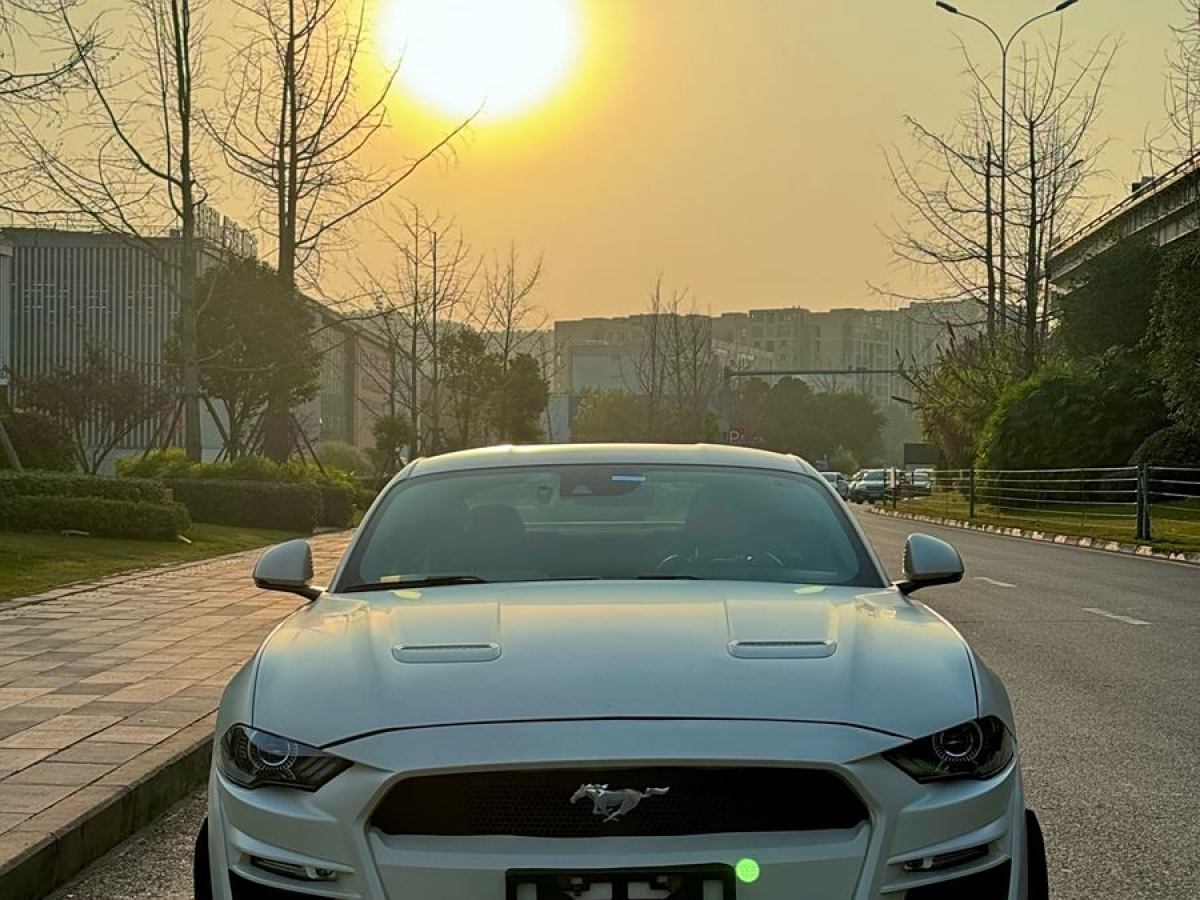 福特 Mustang  2019款 2.3L EcoBoost圖片