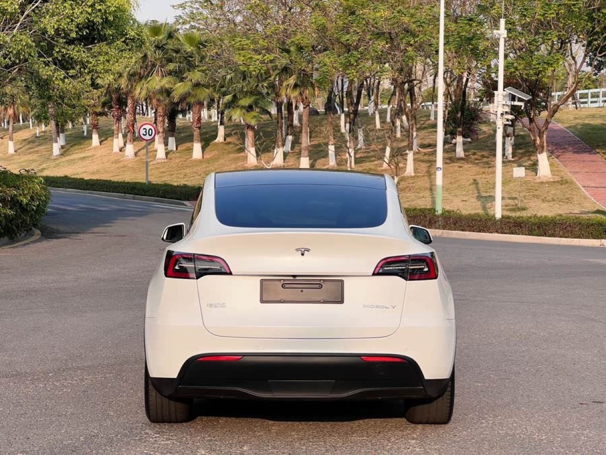 特斯拉 Model Y  2022款 改款 長續(xù)航全輪驅(qū)動版圖片