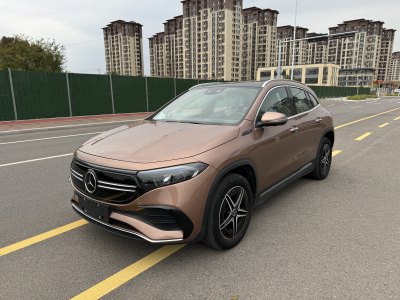 2022年1月 奔馳 奔馳EQA EQA 300 4MATIC 首發(fā)特別版圖片