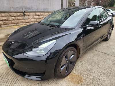 2022年3月 特斯拉 Model 3 后輪驅(qū)動(dòng)版圖片