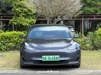 2022年3月 特斯拉 Model 3 Performance高性能全輪驅(qū)動(dòng)版圖片