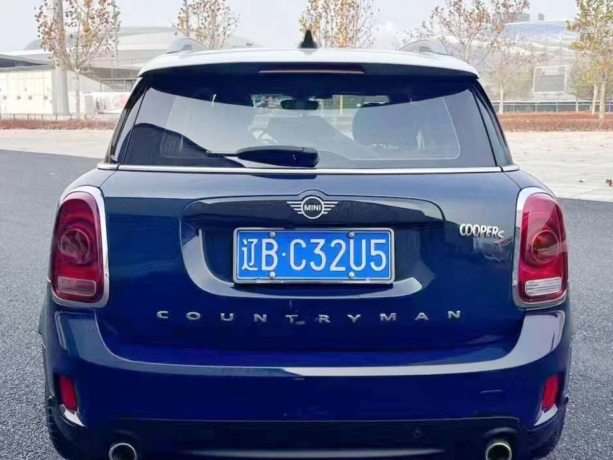 MINI COUNTRYMAN  2019款 2.0T COOPER S ALL4 藝術(shù)家圖片