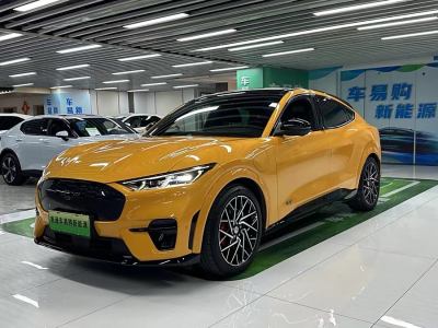 2024年1月 福特 Mustang Mach-E(进口) GT风暴版图片