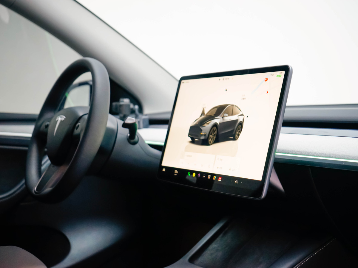 特斯拉 Model Y  2024款 后輪驅(qū)動版圖片