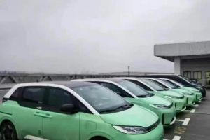 海豚 比亞迪 301km 活力版