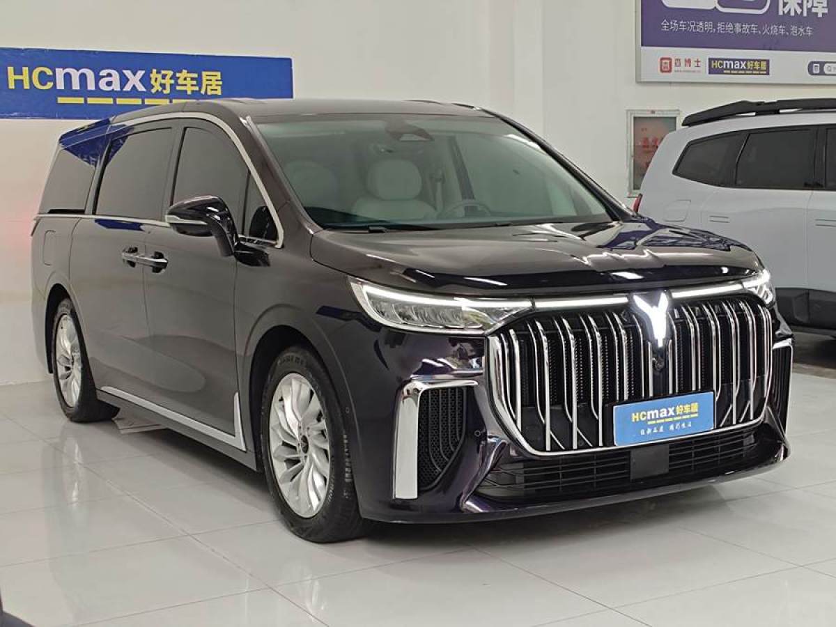 嵐圖 夢想家  2024款 PHEV 超長續(xù)航尊貴版圖片