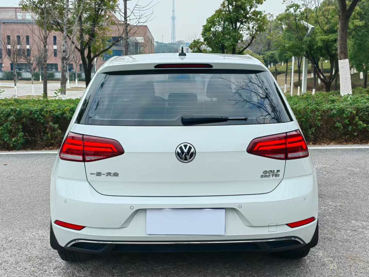 大眾 高爾夫  2019款  200TSI DSG舒適型 國(guó)VI圖片