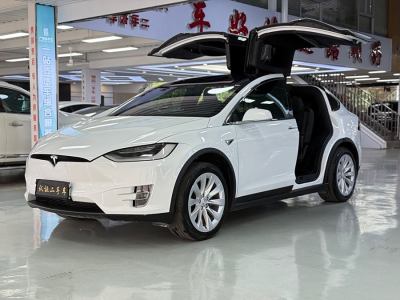 2020年9月 特斯拉 Model X 長續(xù)航版圖片