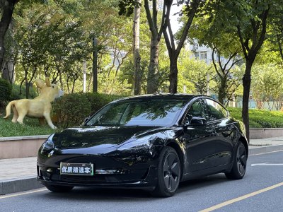 2023年5月 特斯拉 Model 3 改款 后輪驅(qū)動(dòng)版圖片