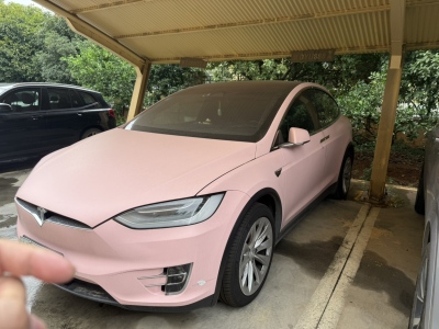 2020年6月 特斯拉 Model X 長續(xù)航版圖片