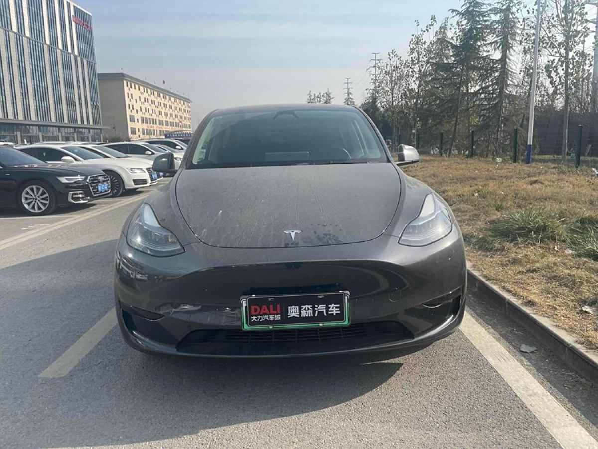 特斯拉 Model 3  2020款 改款 長續(xù)航后輪驅(qū)動版圖片