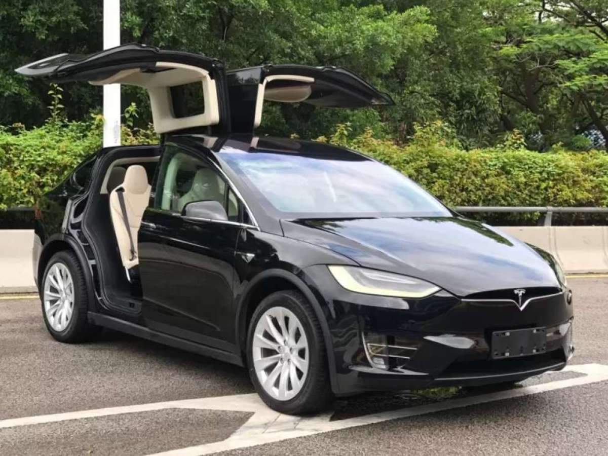 2019年5月特斯拉 Model X  2017款 Model X 100D 長續(xù)航版