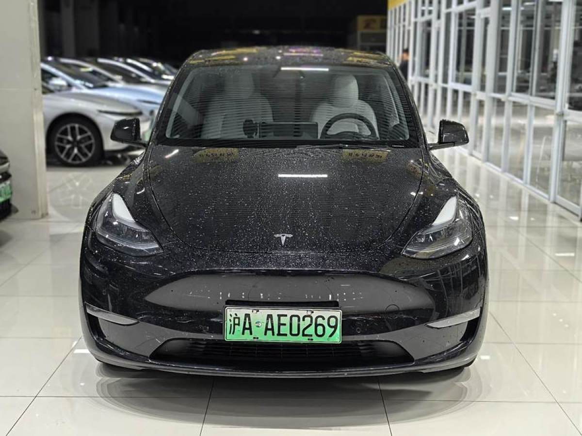 特斯拉 Model Y  2021款 改款 標準續(xù)航后驅(qū)升級版圖片