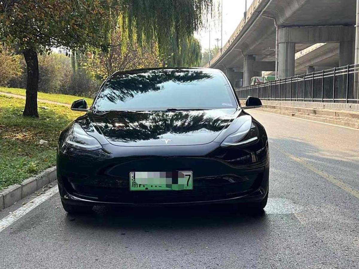 特斯拉 Model Y  2020款 改款 標(biāo)準(zhǔn)續(xù)航后驅(qū)升級(jí)版圖片