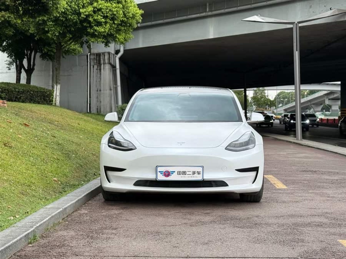特斯拉 Model 3  2020款 改款 標(biāo)準(zhǔn)續(xù)航后驅(qū)升級(jí)版圖片