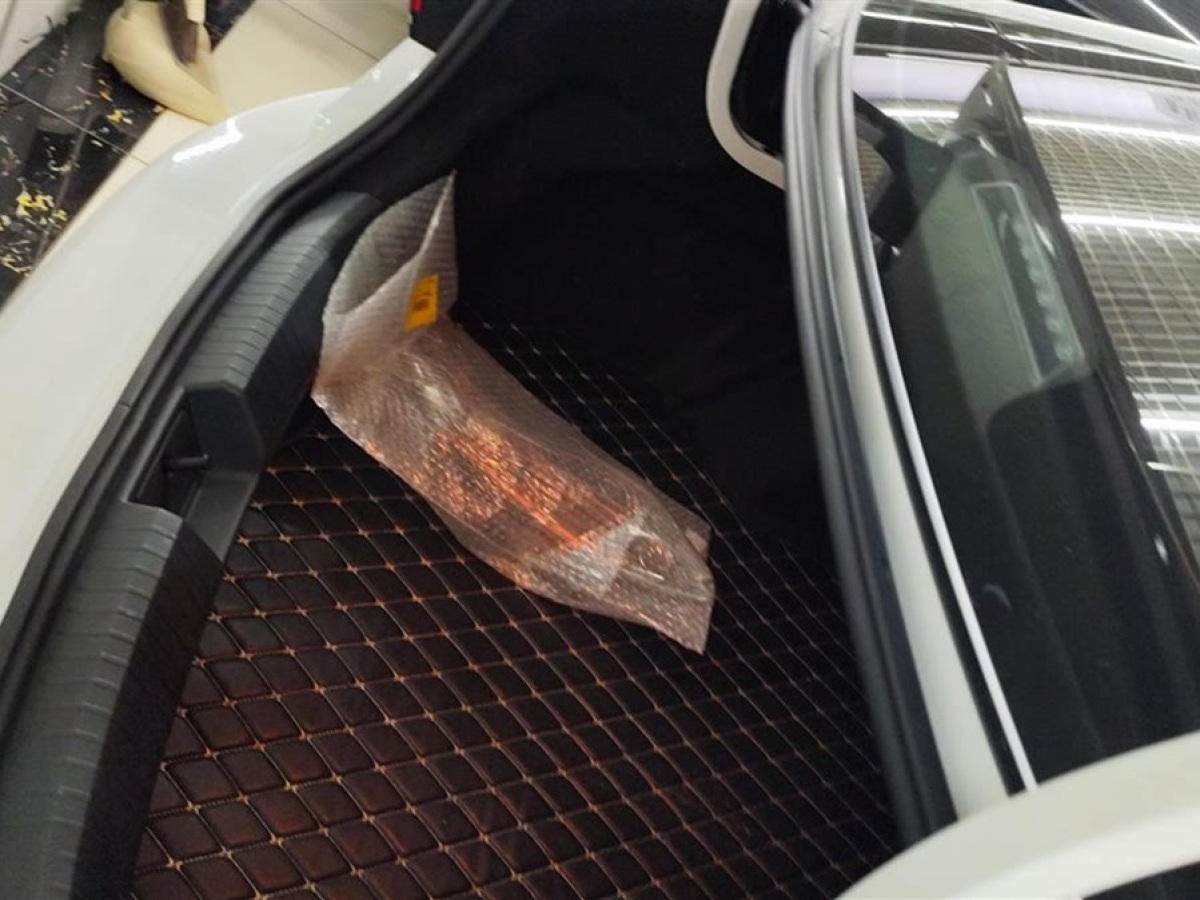 大眾 速騰  2023款 300TSI DSG卓越版圖片