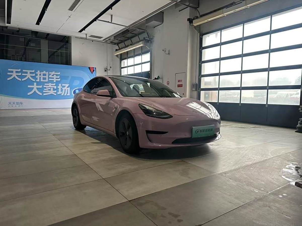 特斯拉 Model 3  2021款 標(biāo)準(zhǔn)續(xù)航后驅(qū)升級(jí)版 3D6圖片