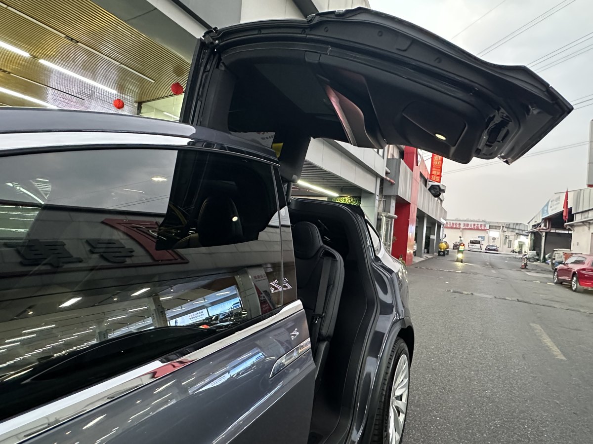 特斯拉 Model X  2020款 長(zhǎng)續(xù)航升級(jí)版圖片