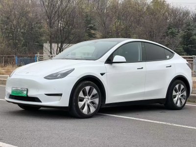 2022年12月 特斯拉 Model 3 改款 長續(xù)航后輪驅(qū)動版圖片