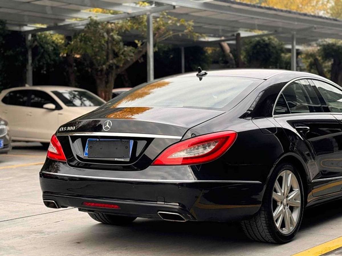 奔馳 奔馳CLS級  2012款 CLS 300 CGI圖片