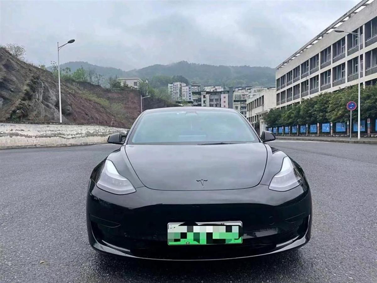 特斯拉 Model Y  2021款 改款 標(biāo)準(zhǔn)續(xù)航后驅(qū)升級版圖片