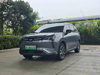 2022年6月 威马 威马W6 520km PRO全能版图片