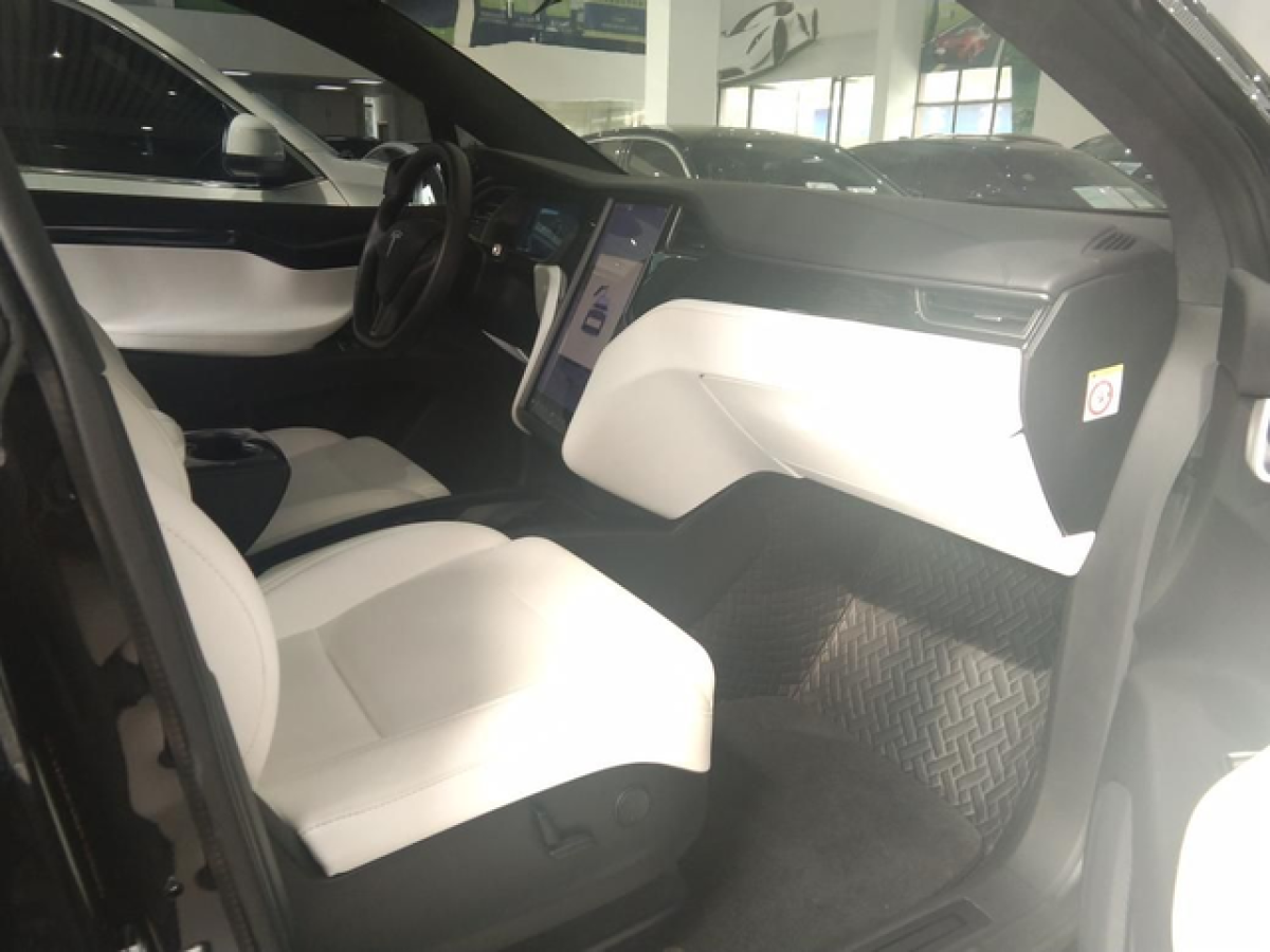 特斯拉 Model X  2019款 長續(xù)航版圖片