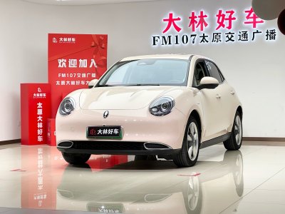 2023年4月 欧拉 欧拉好猫 401km标准续航 尊贵型 三元锂图片