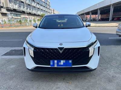 2022年2月 啟辰 啟辰大V 260T 愛(ài)豆版圖片