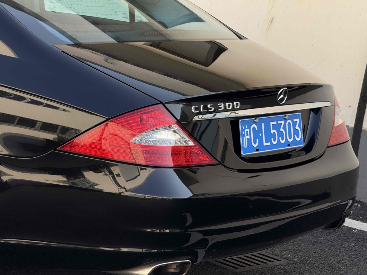 奔馳 奔馳CLS級(jí)  2009款 CLS 300圖片