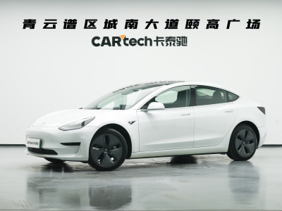 2020年4月 特斯拉 Model 3 标准续航后驱升级版图片