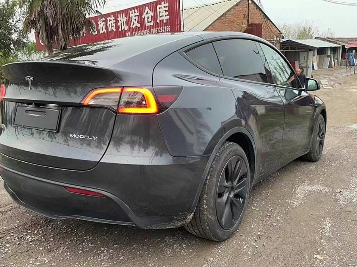 特斯拉 Model 3  2020款 改款 長續(xù)航后輪驅(qū)動版圖片