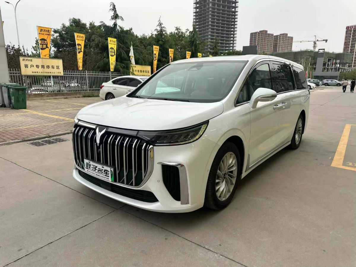 嵐圖 夢想家  2024款 EV 超長續(xù)航卓越版圖片