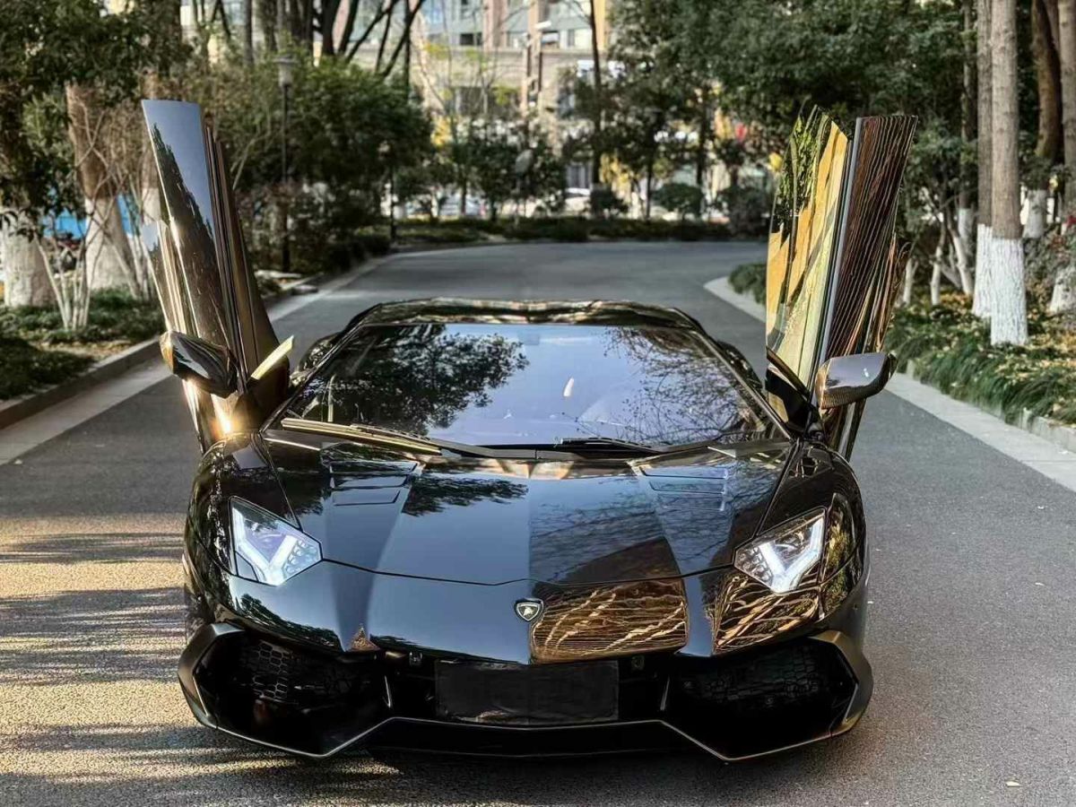 蘭博基尼 Aventador  2013款 LP 700-4 Roadster圖片