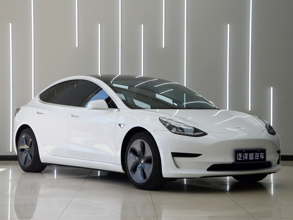 特斯拉 Model 3  2019款 标准续航后驱升级版图片