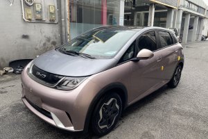 海豚 比亞迪 405km 時尚版