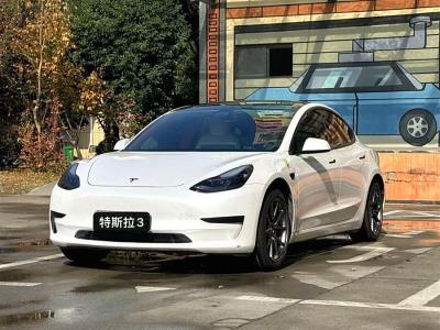 2020年1月 特斯拉 Model 3 改款 標(biāo)準(zhǔn)續(xù)航后驅(qū)升級(jí)版圖片