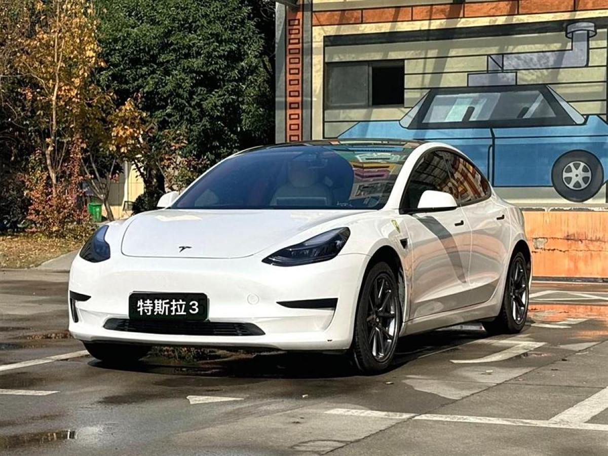 2020年1月特斯拉 Model 3  2020款 改款 標(biāo)準(zhǔn)續(xù)航后驅(qū)升級(jí)版